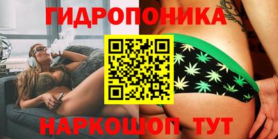 бошки Волгодонск