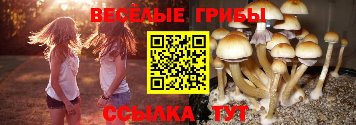 Галлюциногенные грибы мухоморы Нижнекамск